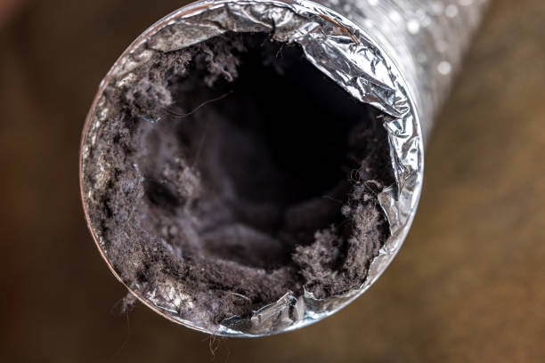 Best Residential Air Duct Cleaning  in Bethel Manor, VA